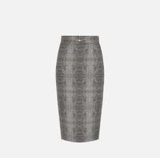 ELISABETTA FRANCHI Gonna in