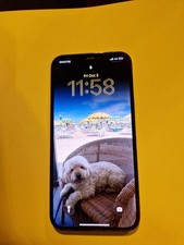 Apple iPhone 12 Pro Max -