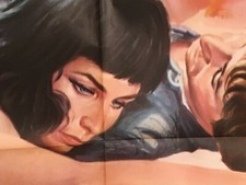 1969 IL GATTO SELVAGGIO