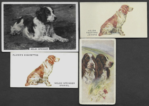Diverse carte vintage - 4,