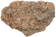 Fossa comune Dogger con