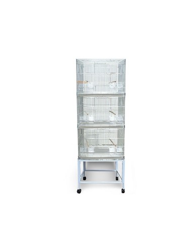 Batteria gabbie per - per, uccelli