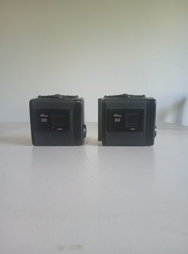 Coppia dorsi zenza bronica - coppia, sq