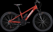 Bici mtb bimbo lombardo - 24,