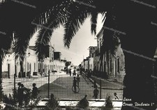 de214 cartolina sava corso