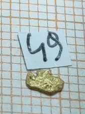 1 Pepita D'oro provenienza Italia.