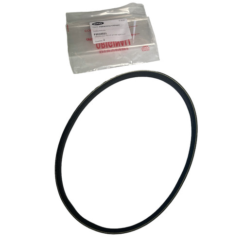 Ibea cinghia p3010021 ricambio - p3010021,