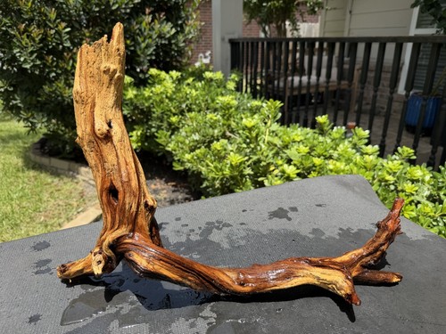 Driftwood mopani acquari - mopani,