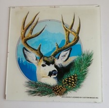 Quadro specchio vetro premio