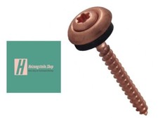 60 viti per lattoniere Torx