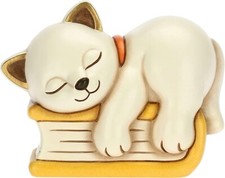 Thun - Gatto su libro