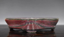 Vaso per bonsai giapponese