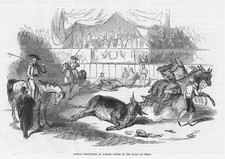 MADRID corrida in Plaza de