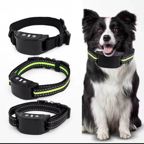 Collare anti abbaio per cani - collare,