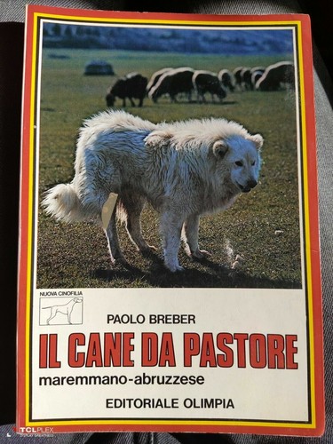 Breber cane pastore - breber,