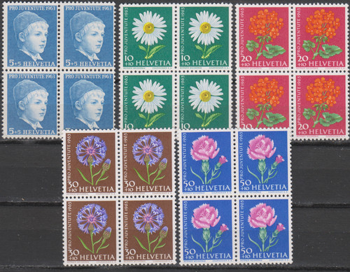 Fiori per prati giardini - fiori,
