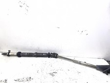 CANNA DELLO STERZO (PIANTONE)