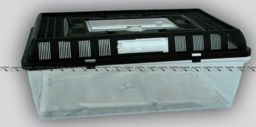Fauna box contenitore acquario - fauna,