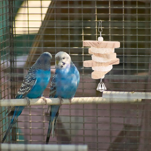Pezzi giocattolo per - pezzi,