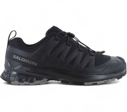 Salomon pro v9 - 3d,