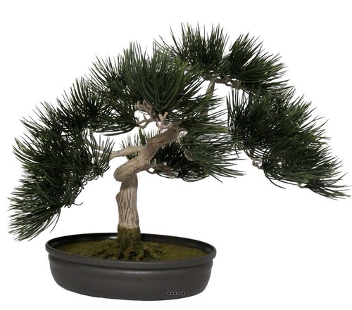 Bonsai artificiel angel - angel, pinus
