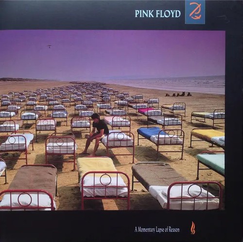 Pink floyd momentary - floyd,