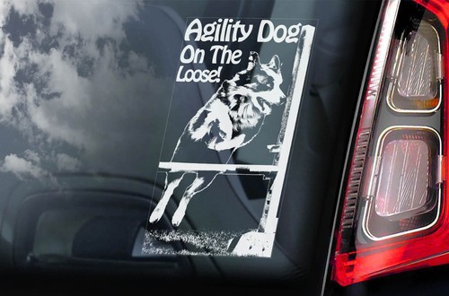 Adesivo agility dog the - agility, on