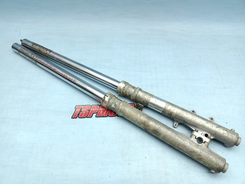 Forcelle coppia pair forks - pair, of
