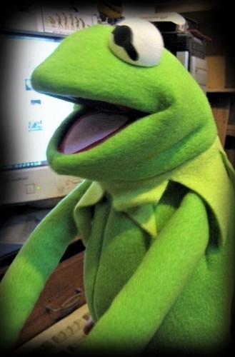 Kermit pupazzo giocattolo - pupazzo,