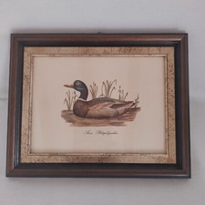Quadro stampa germano - stampa, reale