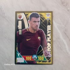 CARD CALCIATORI PANINI