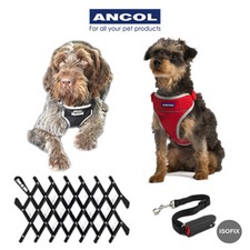 Imbracatura per cani auto - imbracatura,