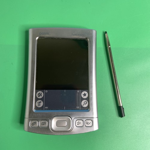 Vintage palm one - palm,