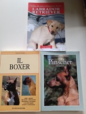 labrador retriever, il