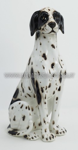 Cane dalmata pointer seduto - cane,