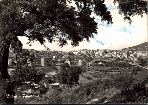 Nuoro panorama grande - panorama,
