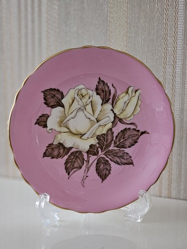 Vintage paragon cabbage rose - vintage,