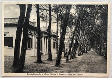 Cartolina Castiglioncello Costa Fiorita animata Livorno paesaggistica T15