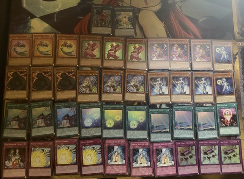Mazzo acquaattrice yugioh - mazzo,