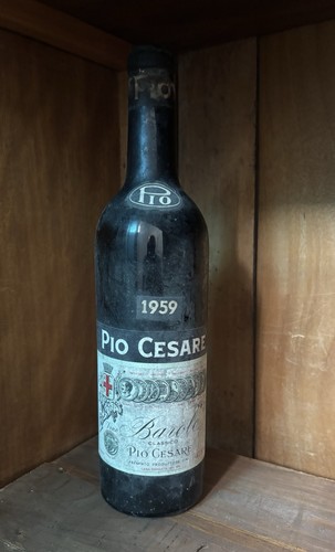 Barolo pio cesare 1959 vino - pio,