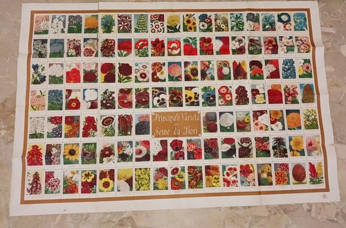 Grande stampa botanica
