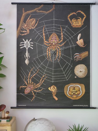 Vintage cartolina da - |,