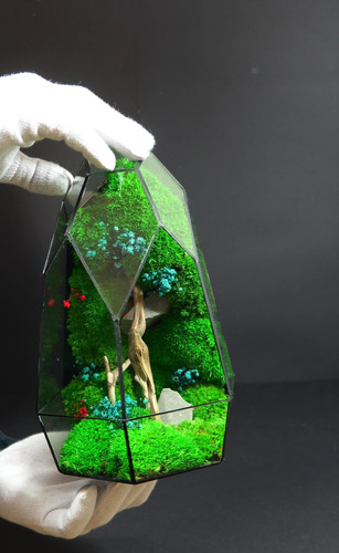 Terrarium tavolo elegante - terrarium,