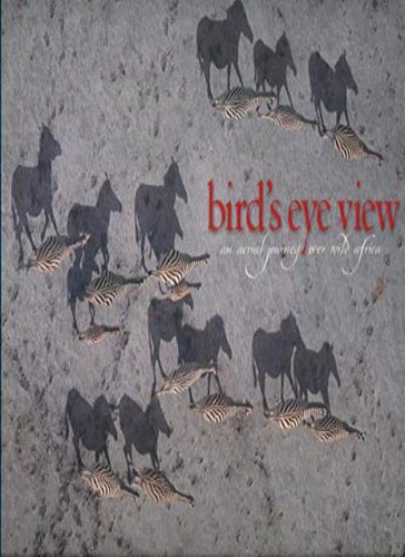 Bird eye view - bird's, aerial