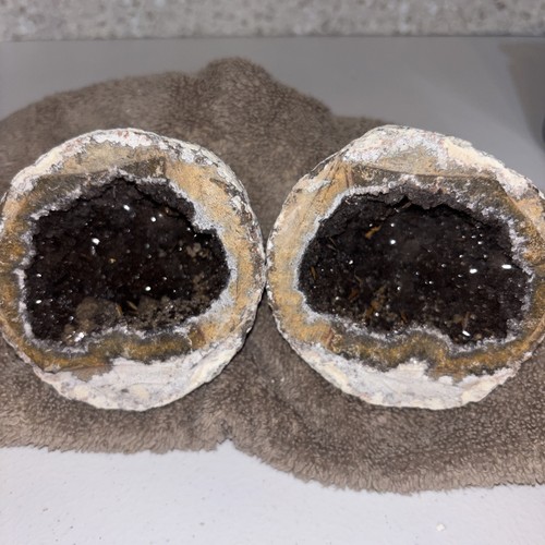 Choyas coppia geode - coppia, cocco