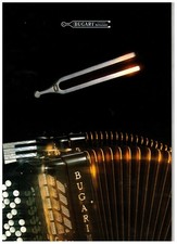 FISARMONICA BUGARI anni 80/90 LIBRO CATALOGO A COLORI COMPLETO