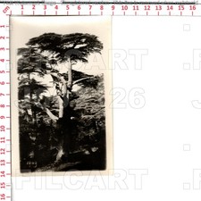 J7126 ALGERIA الجزائر