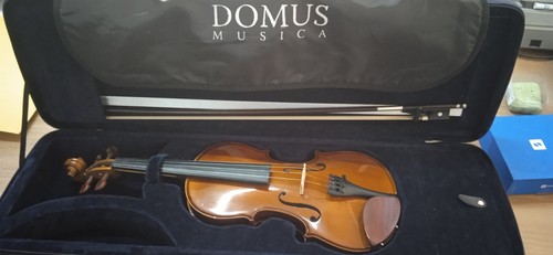 Violino - violino,