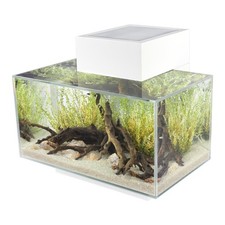 Fluval Edge 23 L Bianco –