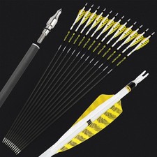 Frecce in carbonio puro